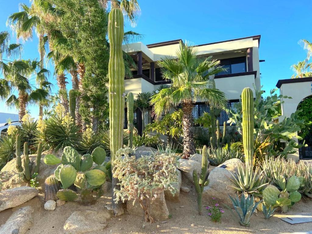Spectacular Vacation Home Ocean View Walk To Beach カボ・サン・ルーカス エクステリア 写真